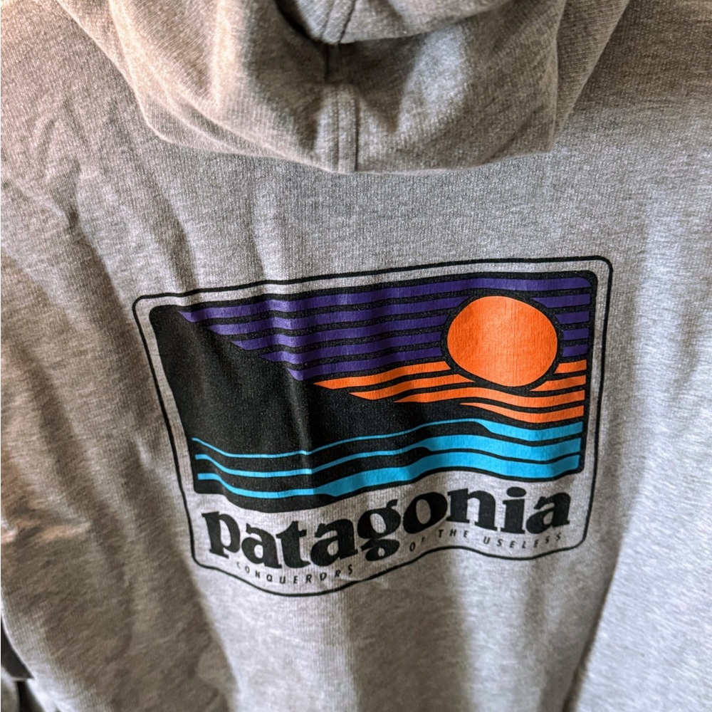 Patagonia Men's Zip-Up Hoodie in Light Gray - Picture 3 of 6